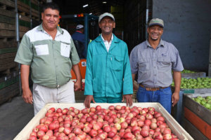 misgund east small farmers trust 300x200 1